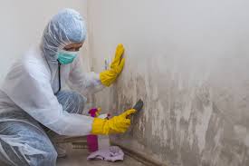 Professional Mold Removal in Oakton, VA